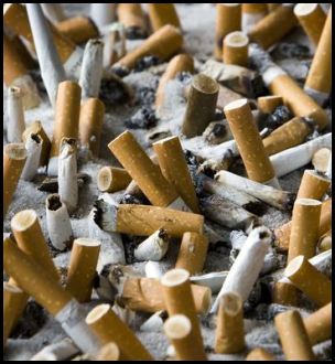 cigarette butts